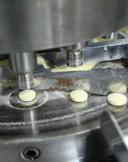 pharmaceutical manufacturing process